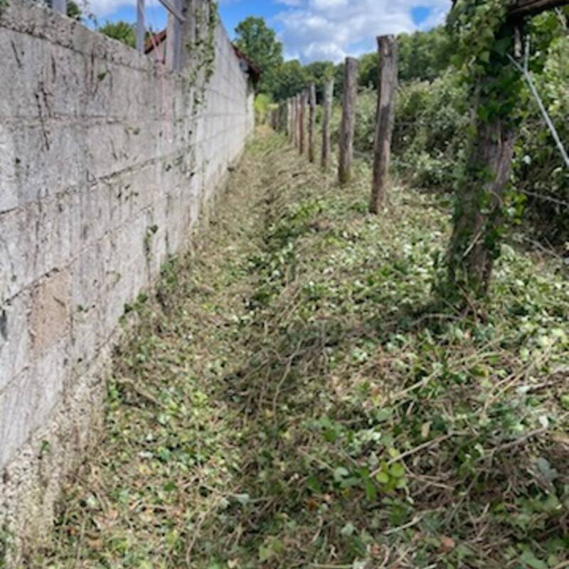 Après — terrain nettoyé désherbage mur paysagiste Aube