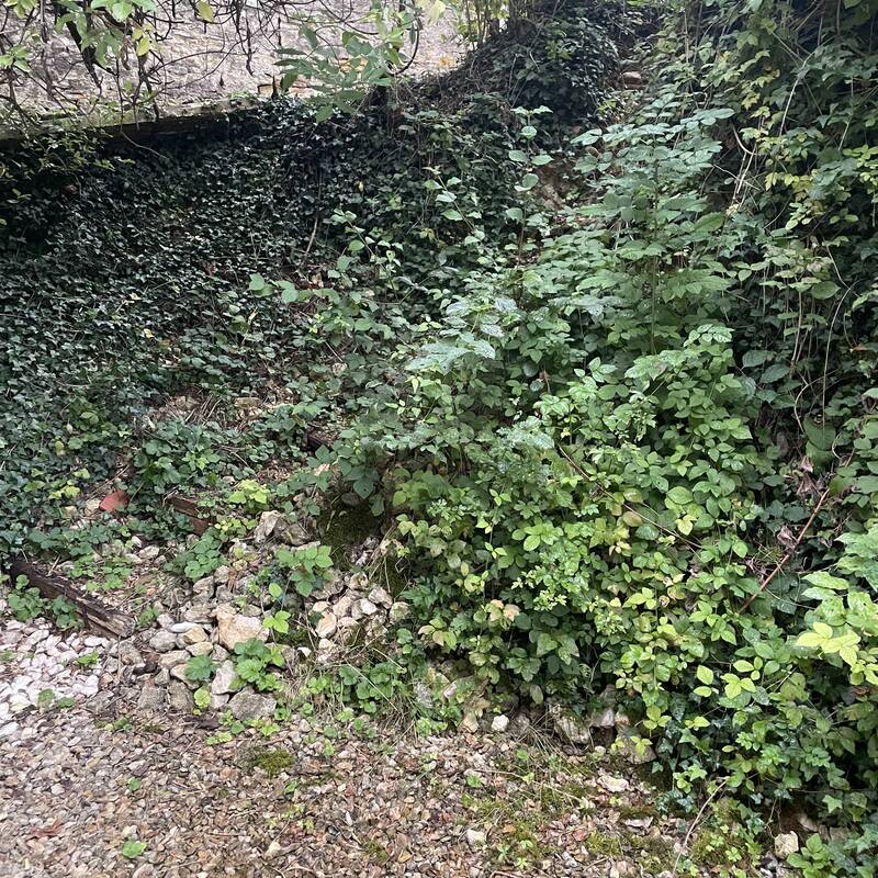 Avant — talus envahi avant création escalier Aube