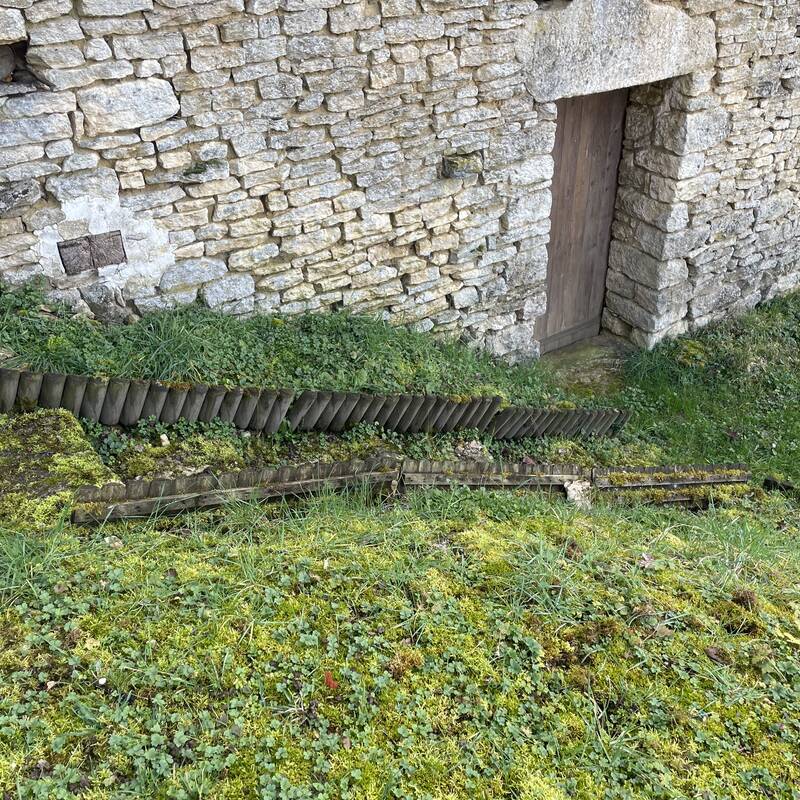 Avant — terrain en friche avant aménagement escalier