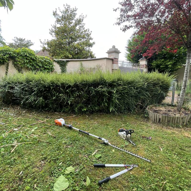 Avant — haie de troènes débordante avant taille