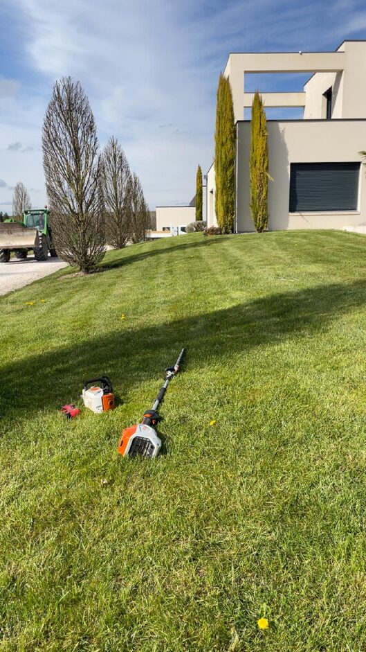Entretien pelouse tonte gazon paysagiste Bar-sur-Seine